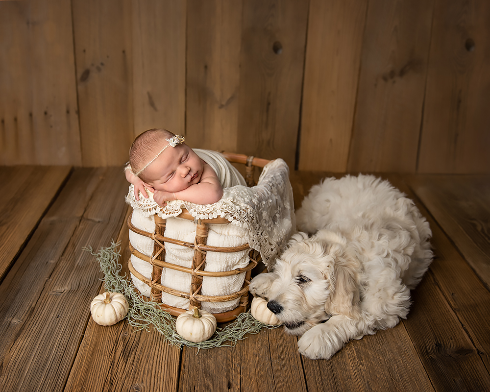 Neugeborenenfoto_lilli_roggli_8881_Kopie